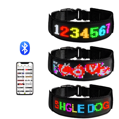 Pixel-Collar